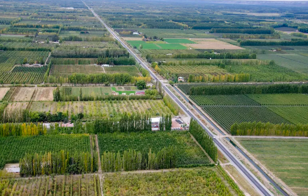 ¿Cómo se posiciona Río Negro para&nbsp;2035?