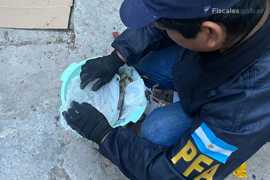 Desmantelan una banda narco en Mar del Plata cuyo jefe operaba desde la cárcel de&nbsp;Batán