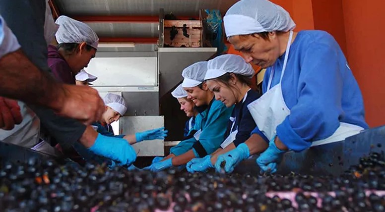 En Mendoza se discute un proyecto para promover trabajo e inversiones para mayores de&nbsp;60